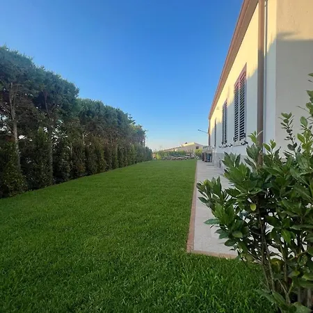 Casa Alberto, Falcone/oliveri פאלקונה